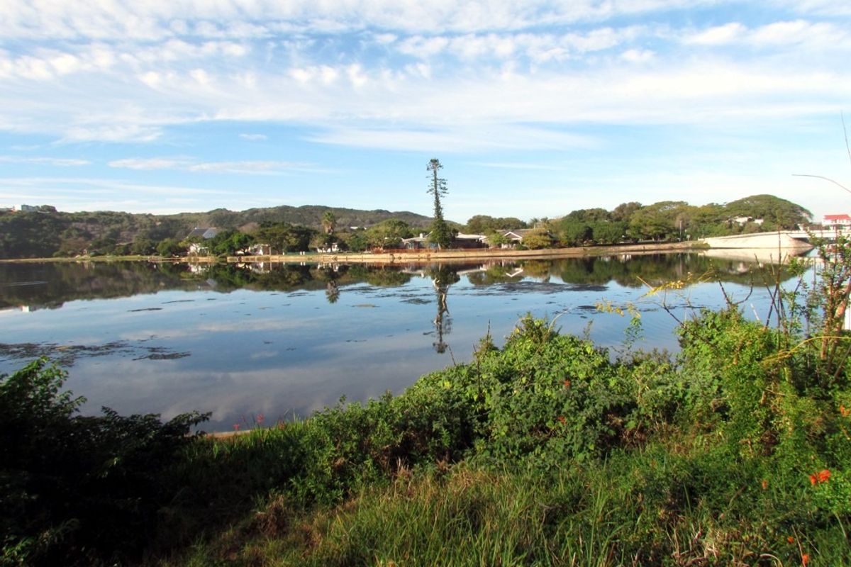 Vacant Land Residential For Sale in Island Cove - Photo 2