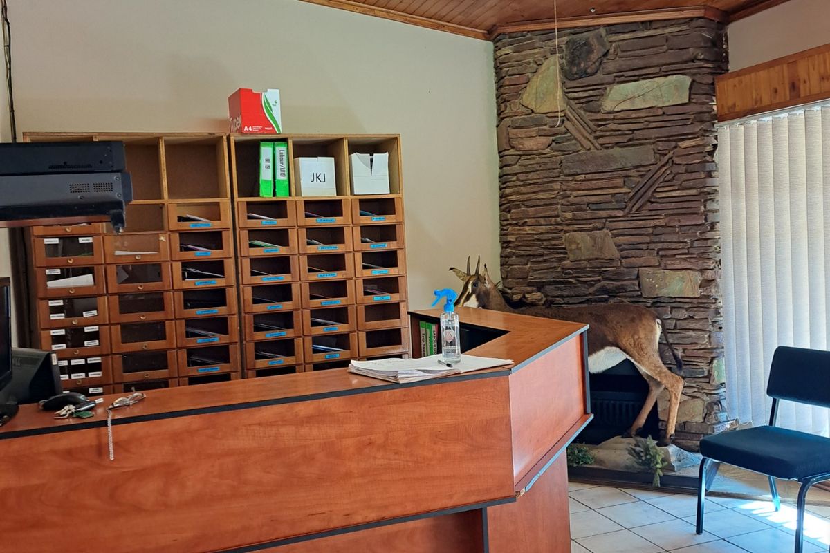House For Sale in Polokwane Central - Photo 2