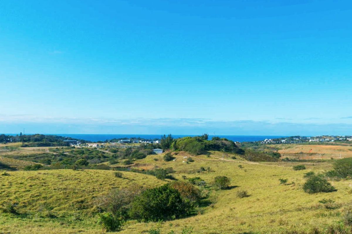 Vacant Land Residential For Sale in Salt Rock - Photo 4