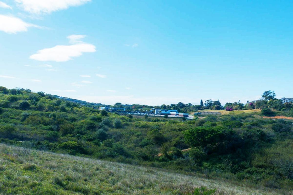 Vacant Land Residential For Sale in Salt Rock - Photo 2