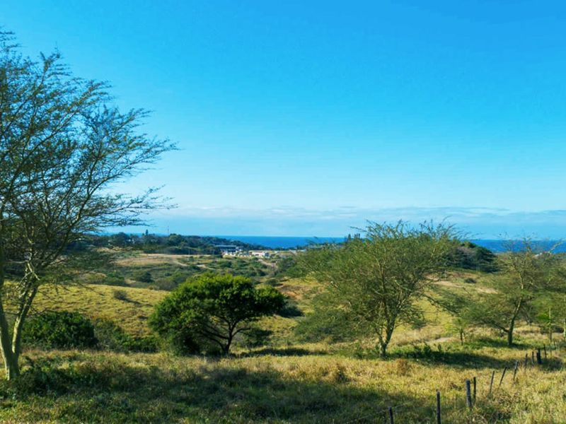 Vacant Land Residential For Sale in Salt Rock - Photo 5