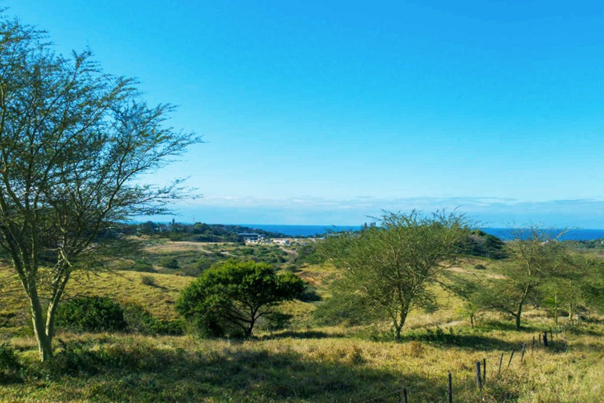 Vacant Land Residential For Sale in Salt Rock - Photo 5