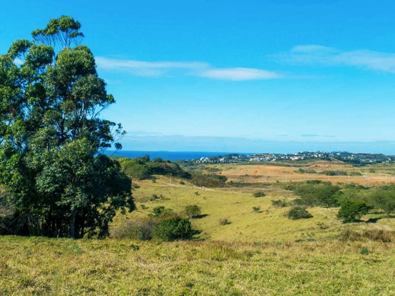 Vacant Land Residential For Sale in Salt Rock - Photo 8