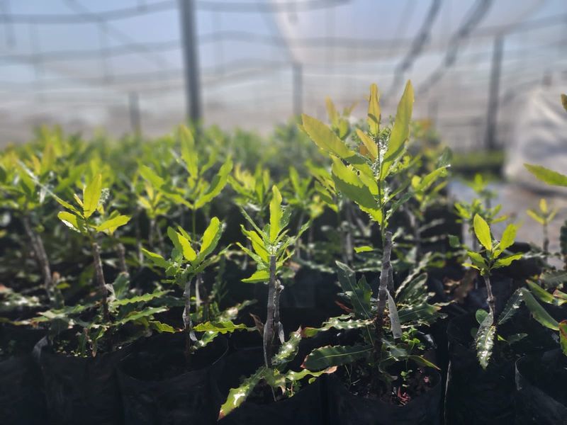 Farm For Sale in Nelspruit Rural - Photo 5