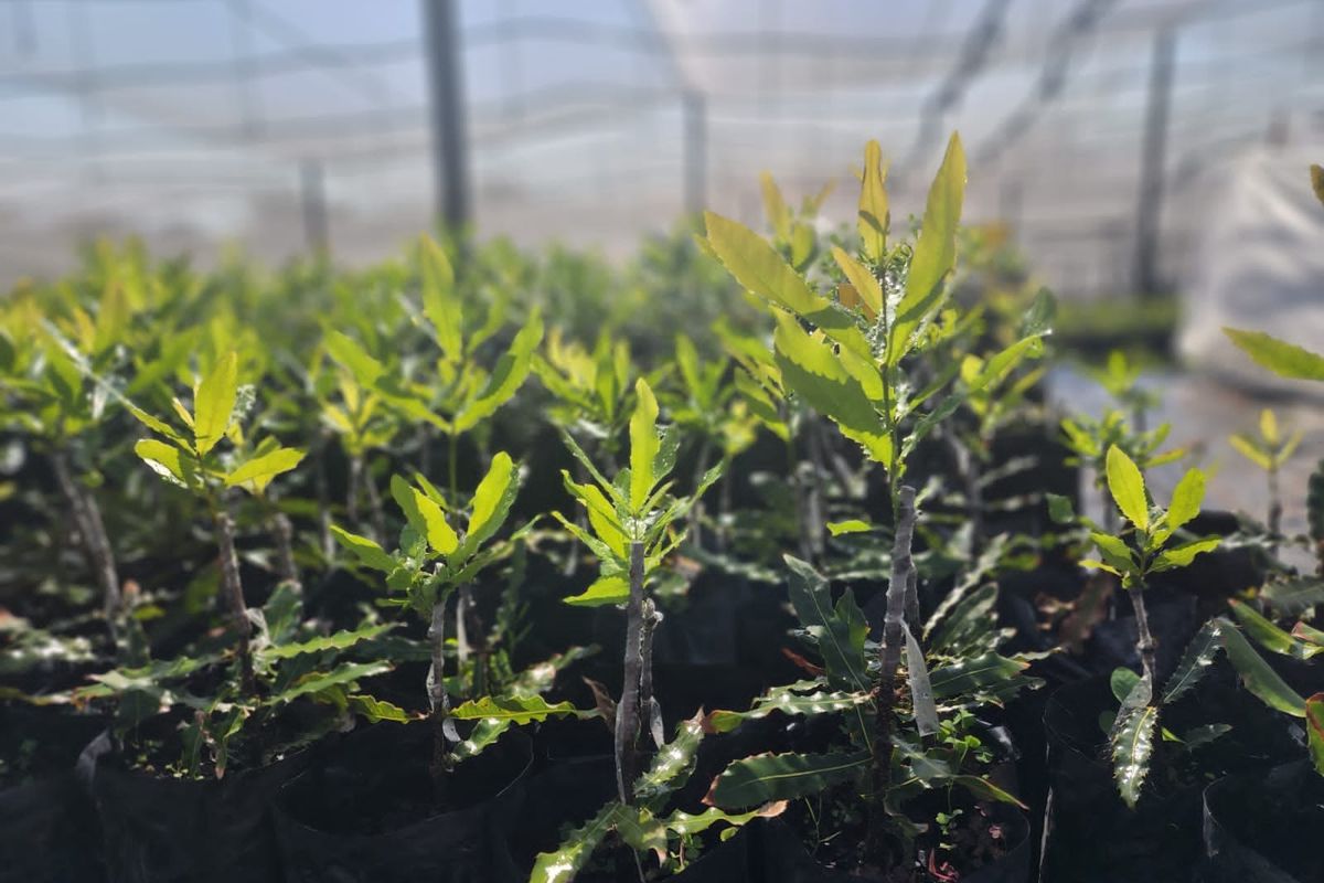 Farm For Sale in Nelspruit Rural - Photo 5