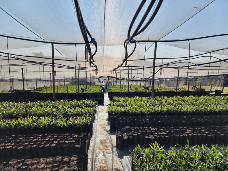 Farm For Sale in Nelspruit Rural - Photo 2