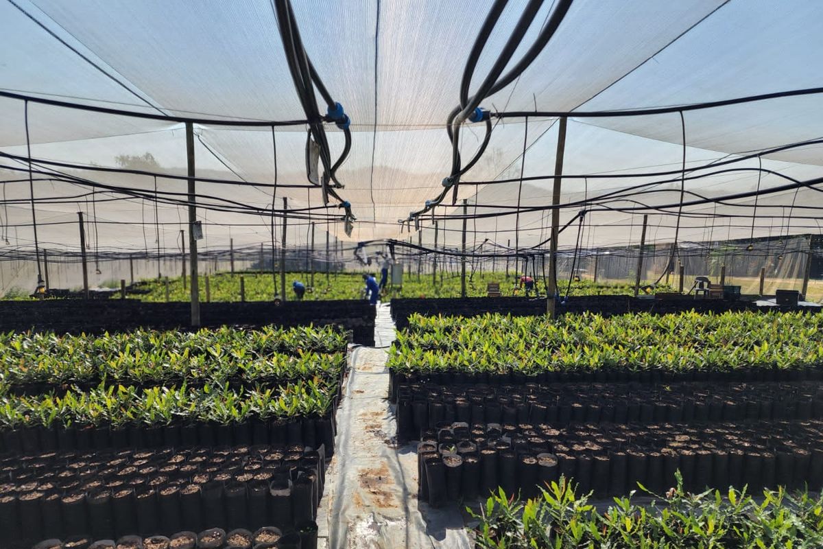 Farm For Sale in Nelspruit Rural - Photo 2