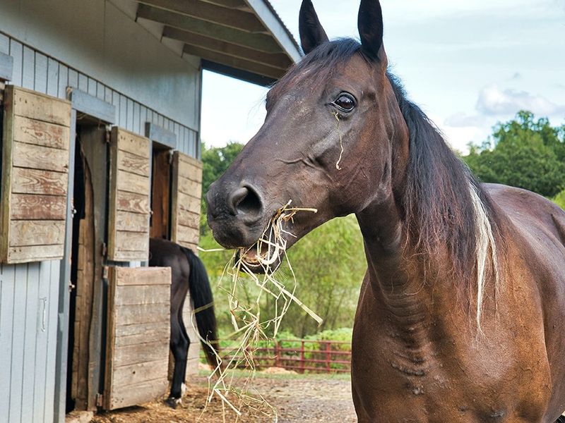 Vacant Land Residential For Sale in Salt Rock - Photo 4