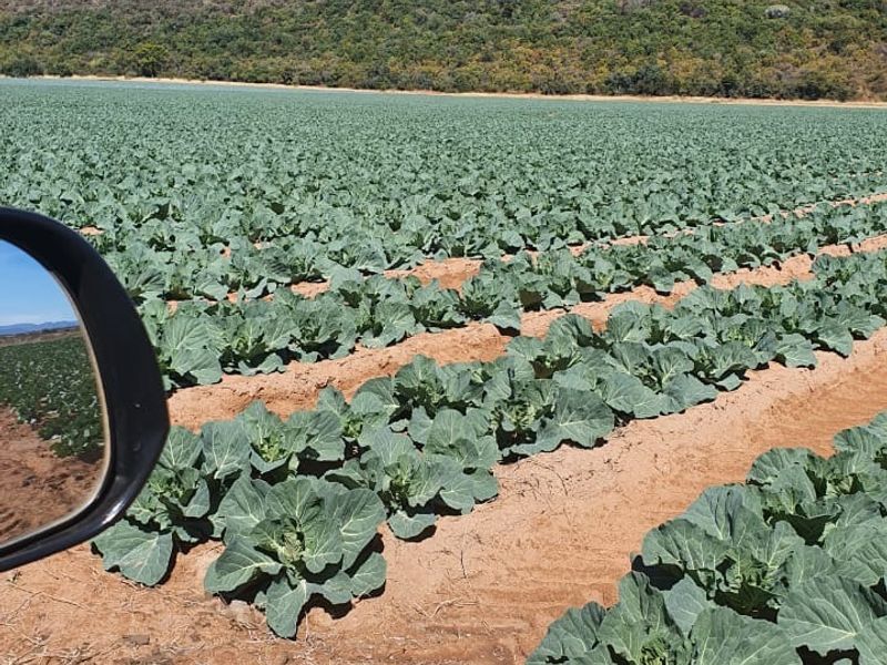 Farm For Sale in Modimolle Rural - Photo 3