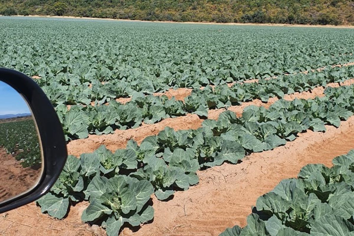 Farm For Sale in Modimolle Rural - Photo 3