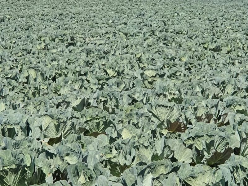 Farm For Sale in Modimolle Rural - Photo 2