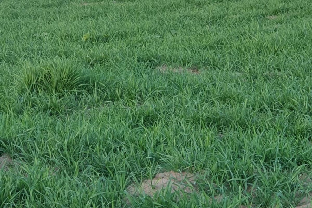 Farm For Sale in Modimolle Rural - Photo 5
