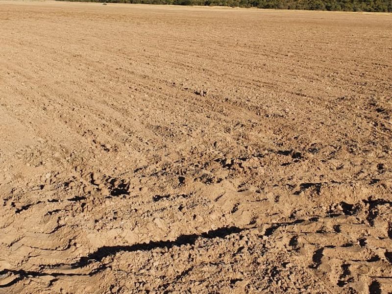 Farm For Sale in Modimolle Rural - Photo 6