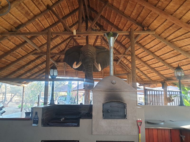 Farm For Sale in Roodepoort AH - Photo 7