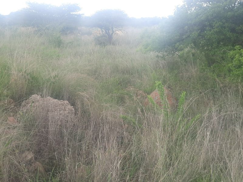 Vacant Land Residential For Sale in Sterpark - Photo 2