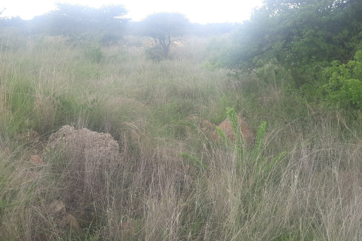 Vacant Land Residential For Sale in Sterpark - Photo 2