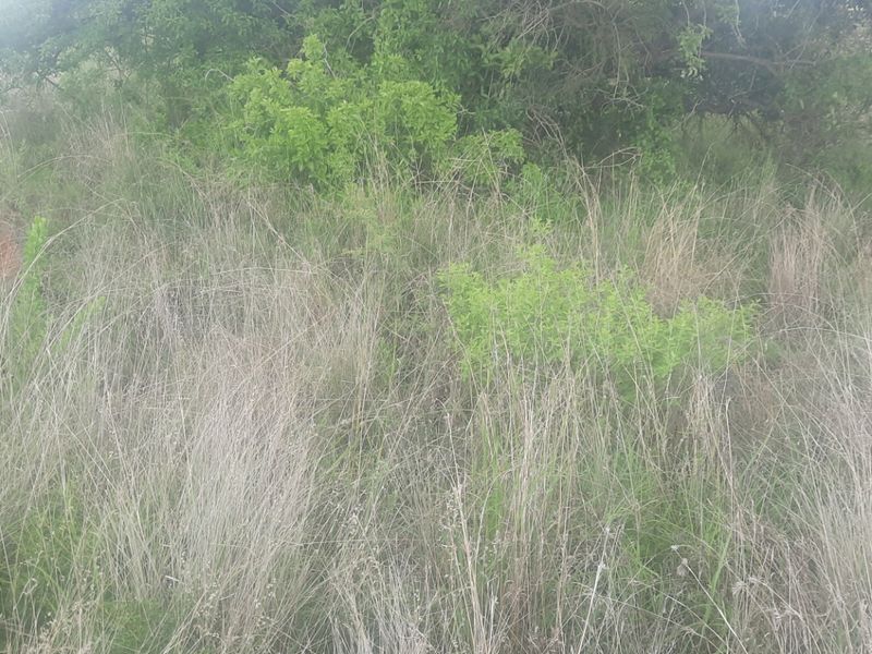 Vacant Land Residential For Sale in Sterpark - Photo 3