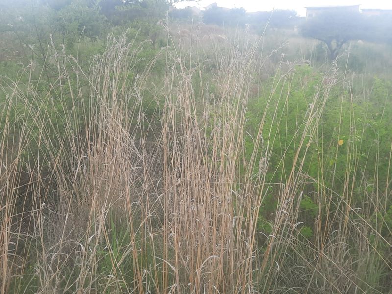 Vacant Land Residential For Sale in Sterpark - Photo 4