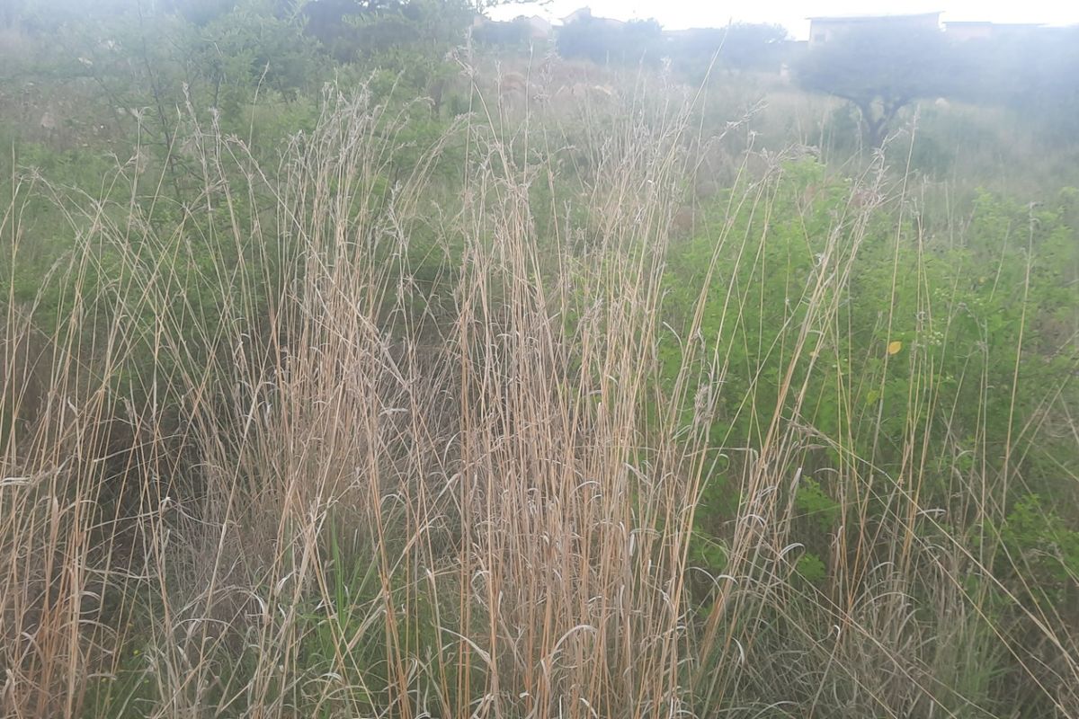 Vacant Land Residential For Sale in Sterpark - Photo 4