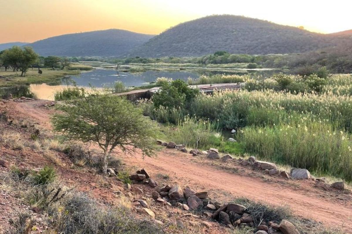 Farm For Sale in Vaalwater Central - Photo 4