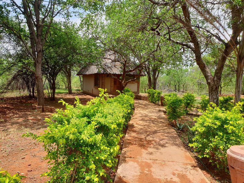 Farm For Sale in Musina Rural - Photo 8