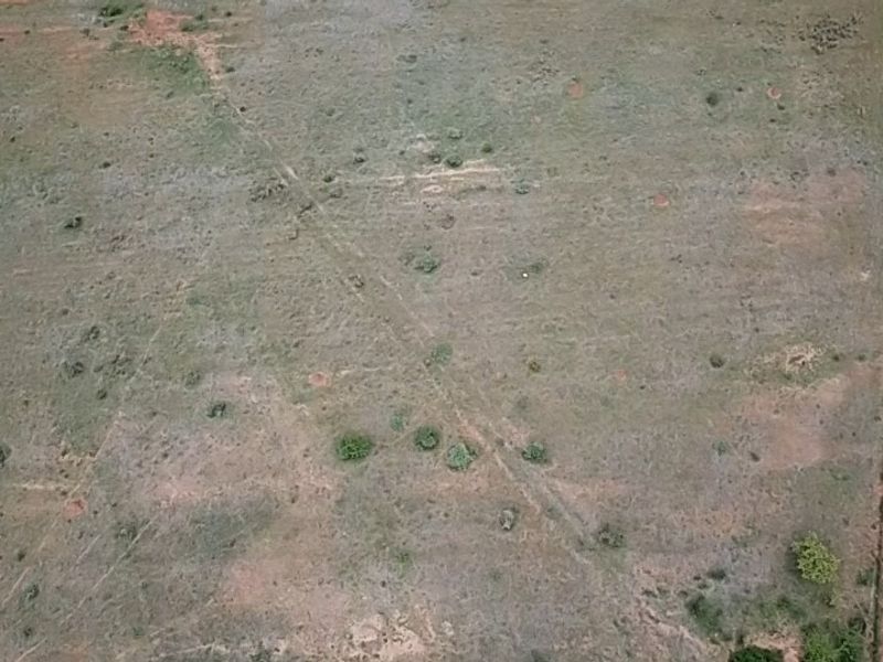 Farm For Sale in Polokwane Rural - Photo 7