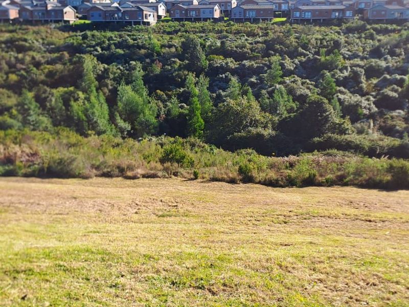 Vacant Land Residential For Sale in Welgelegen - Photo 5