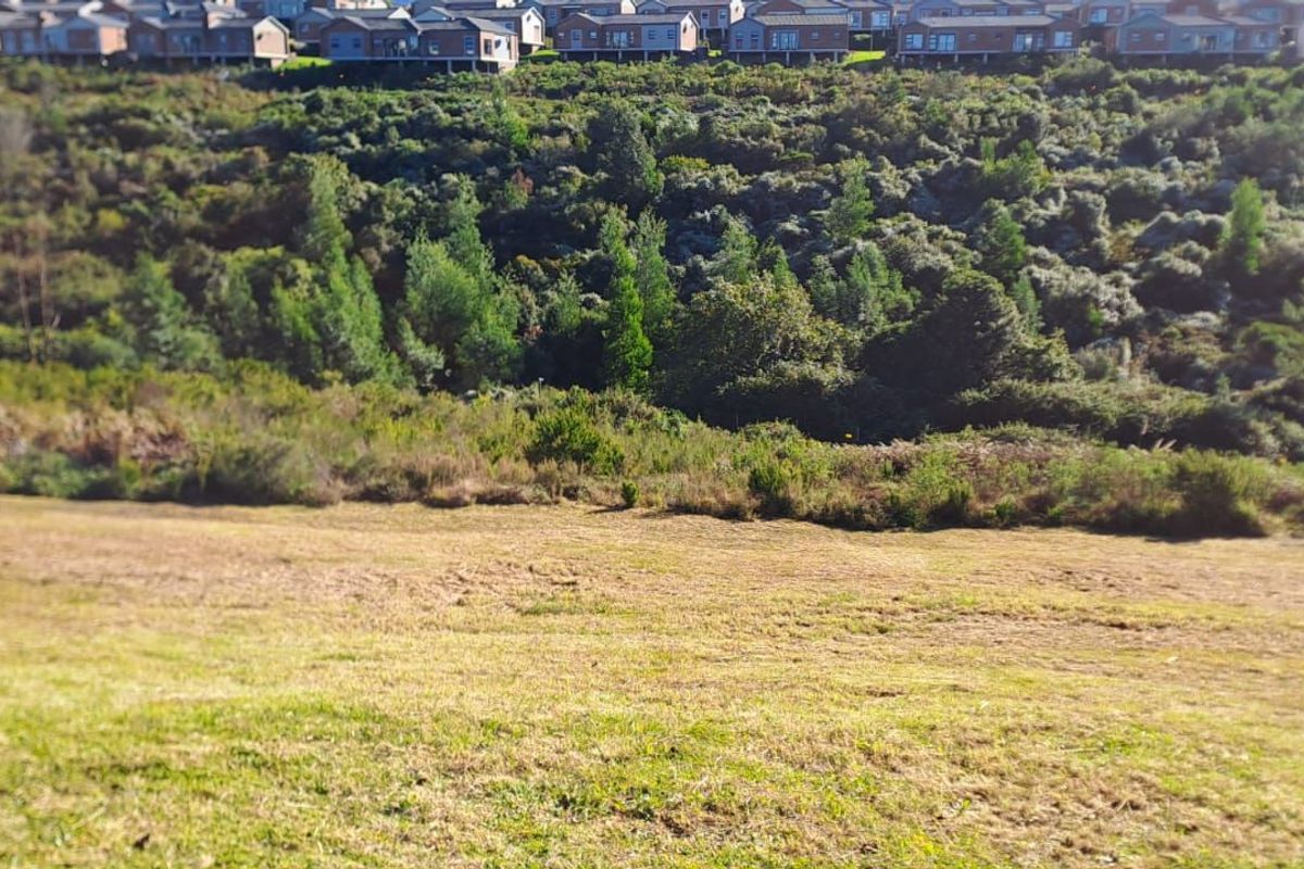 Vacant Land Residential For Sale in Welgelegen - Photo 5