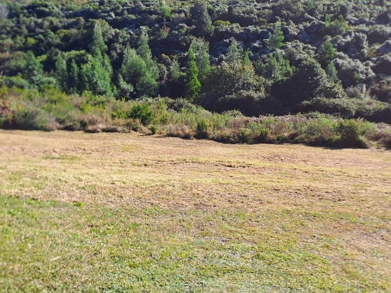 Vacant Land Residential For Sale in Welgelegen - Photo 6