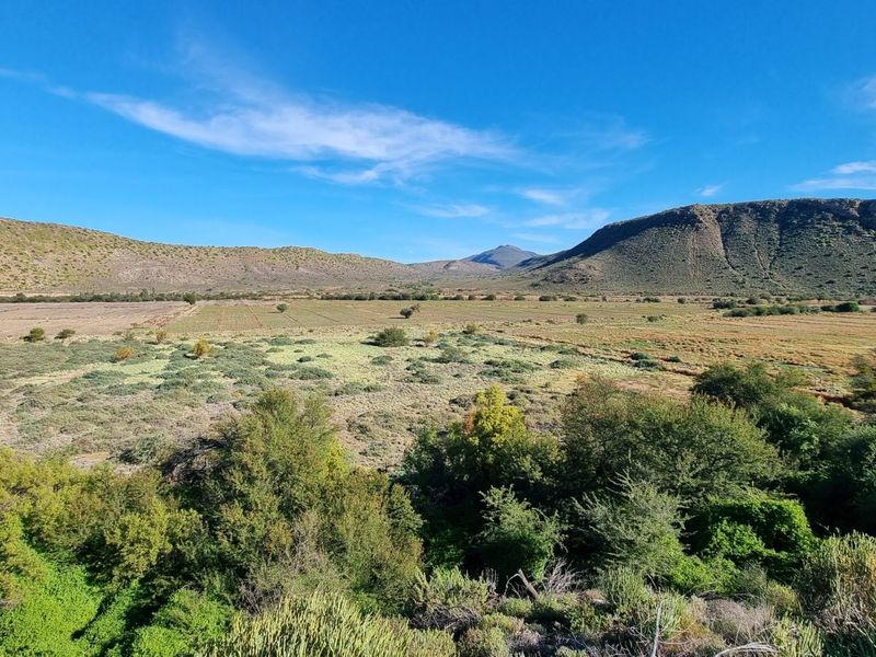 Farm For Sale in Ladismith Rural - Photo 4
