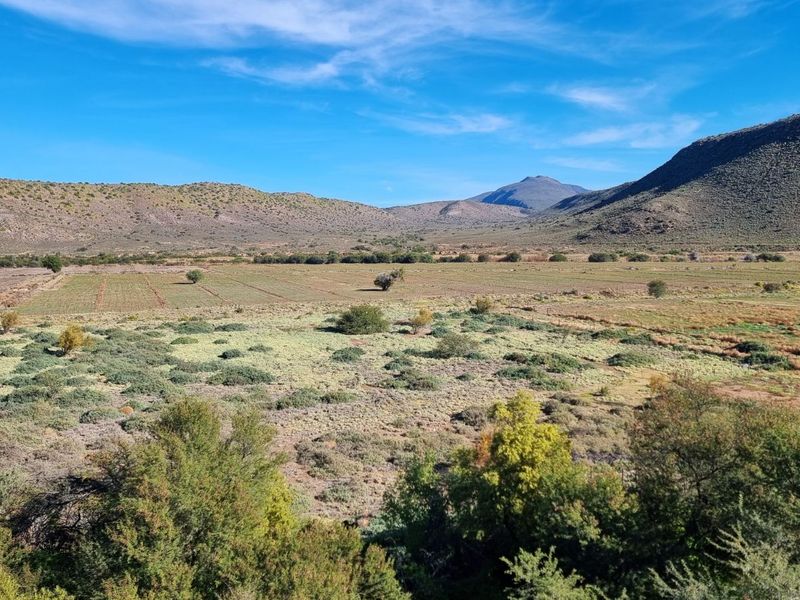 Farm For Sale in Ladismith Rural - Photo 3