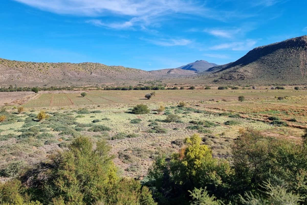 Farm For Sale in Ladismith Rural - Photo 3