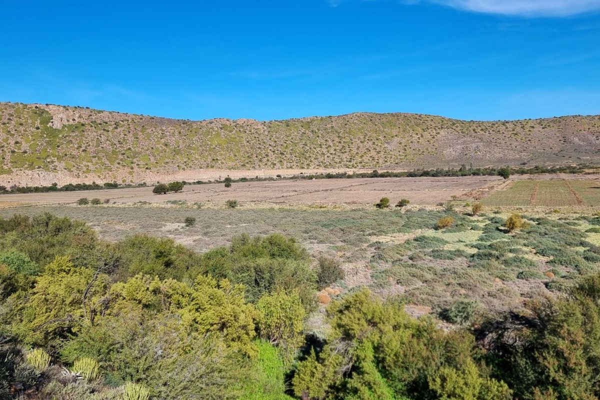 Farm For Sale in Ladismith Rural - Photo 2