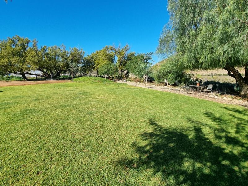 Farm For Sale in Ladismith Rural - Photo 7