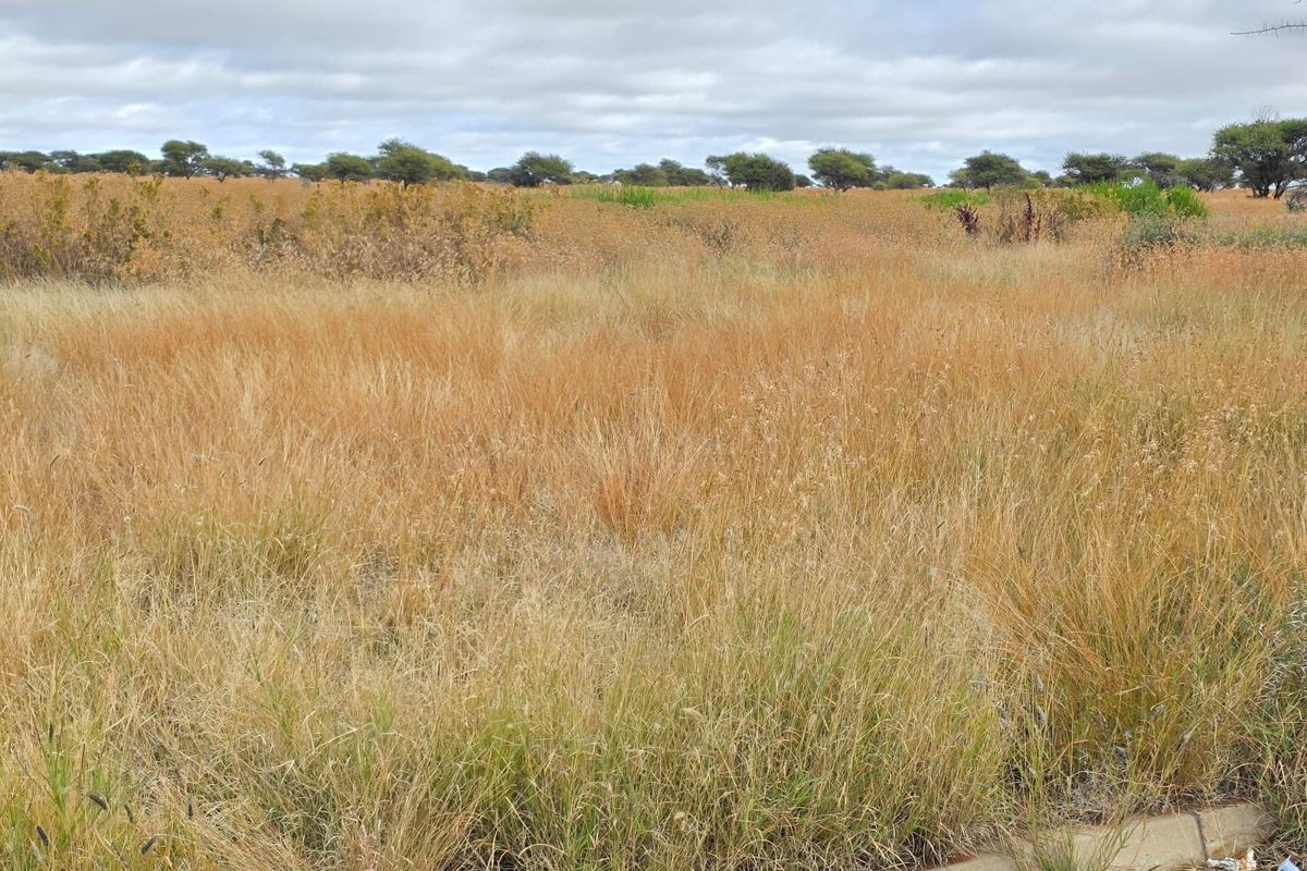 Vacant Land Residential For Sale in South Ridge - Photo 3