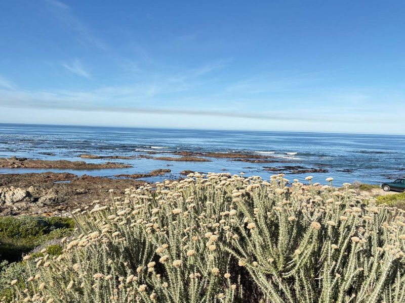 Vacant Land Residential For Sale in Franskraal - Photo 6