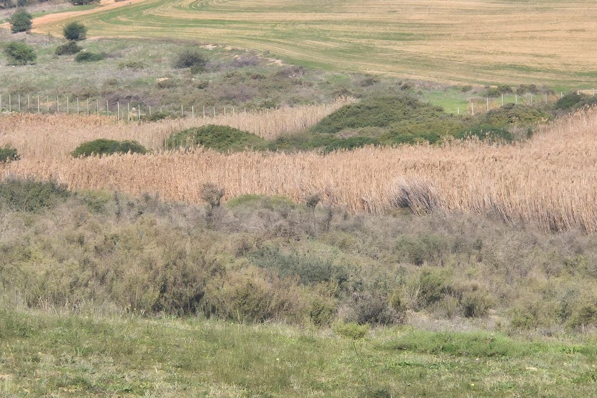 Vacant Land Residential For Sale in Mount Royal Golf Estate - Photo 5