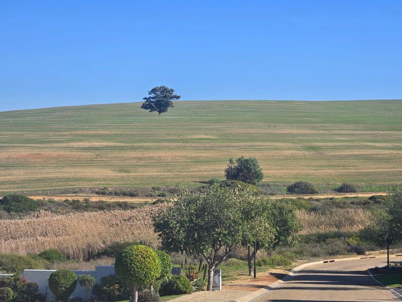 Vacant Land Residential For Sale in Mount Royal Golf Estate - Photo 2