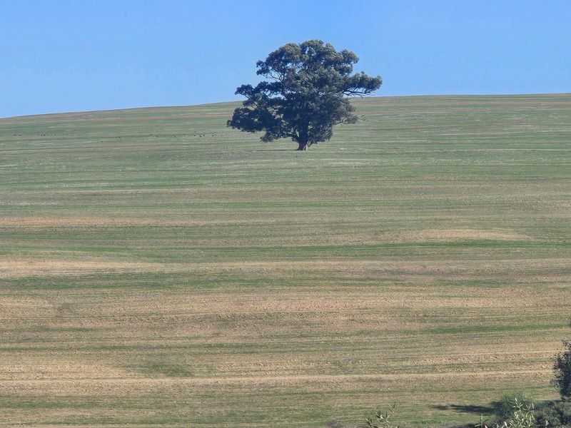 Vacant Land Residential For Sale in Mount Royal Golf Estate - Photo 3