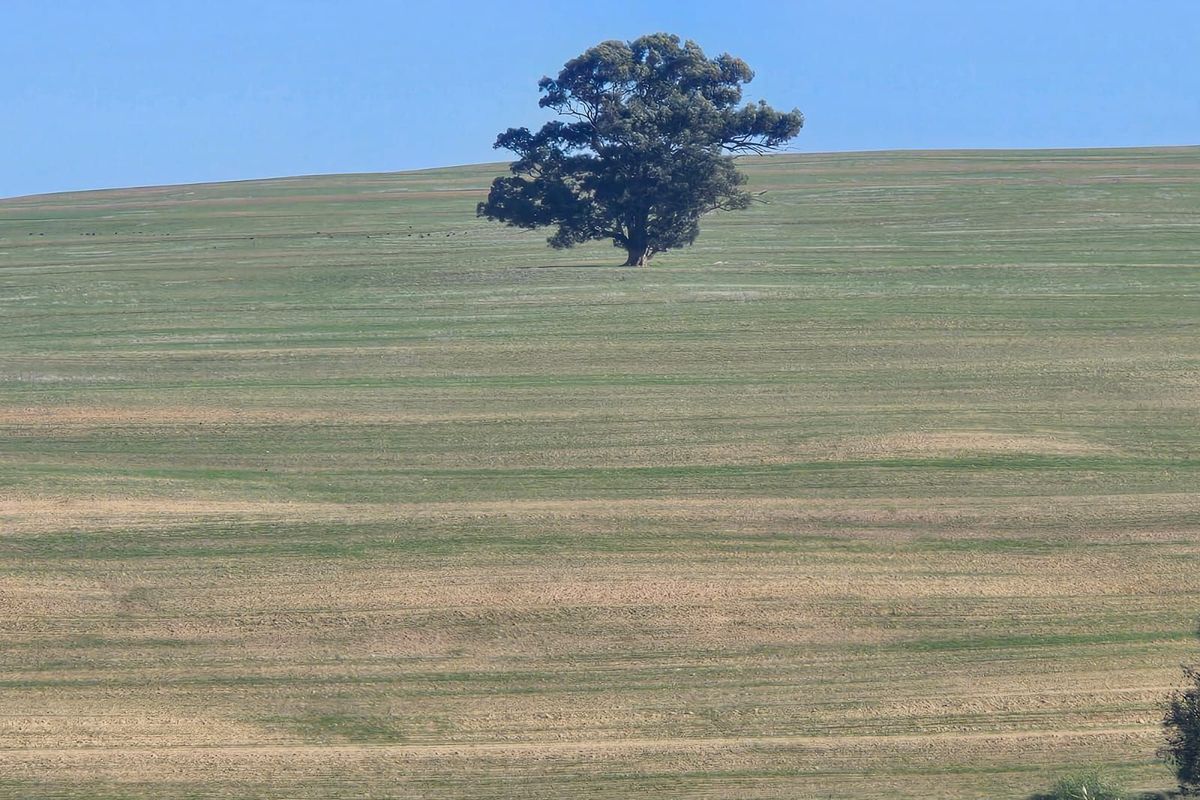 Vacant Land Residential For Sale in Mount Royal Golf Estate - Photo 3