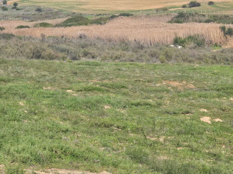 Vacant Land Residential For Sale in Mount Royal Golf Estate - Photo 9