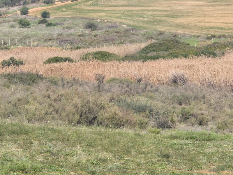 Vacant Land Residential For Sale in Mount Royal Golf Estate - Photo 10