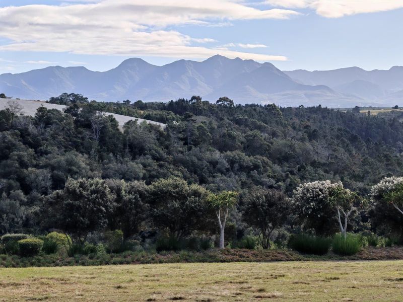 Vacant Land Residential For Sale in Oubaai - Photo 4