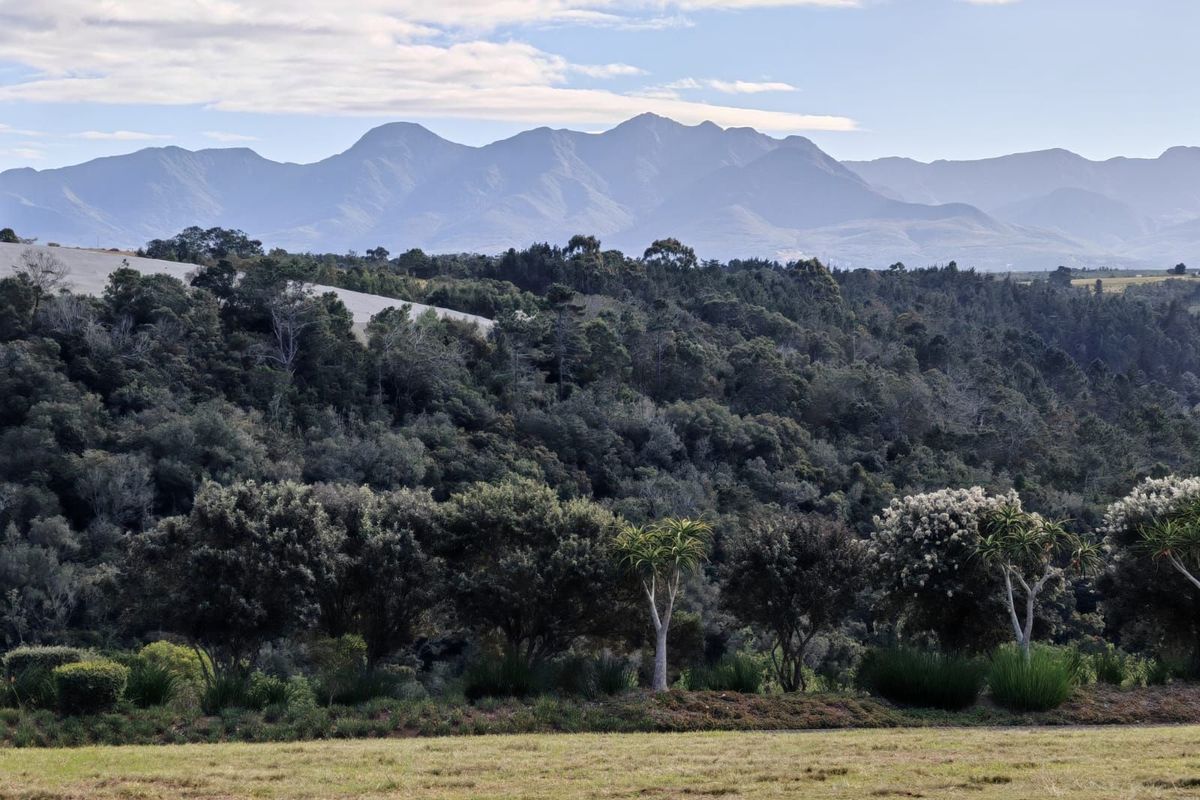 Vacant Land Residential For Sale in Oubaai - Photo 4