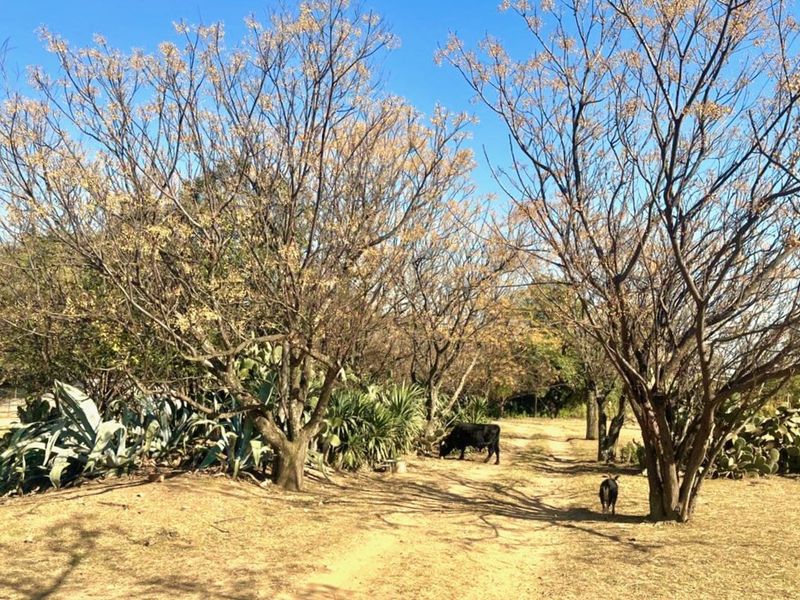 House For Sale in Glenferness - Photo 8