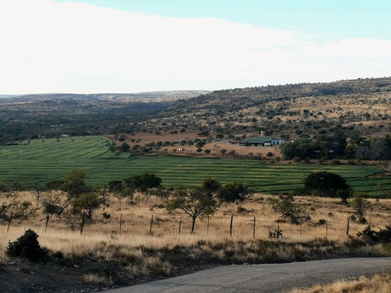 Farm For Sale in Adelaide Central - Photo 2