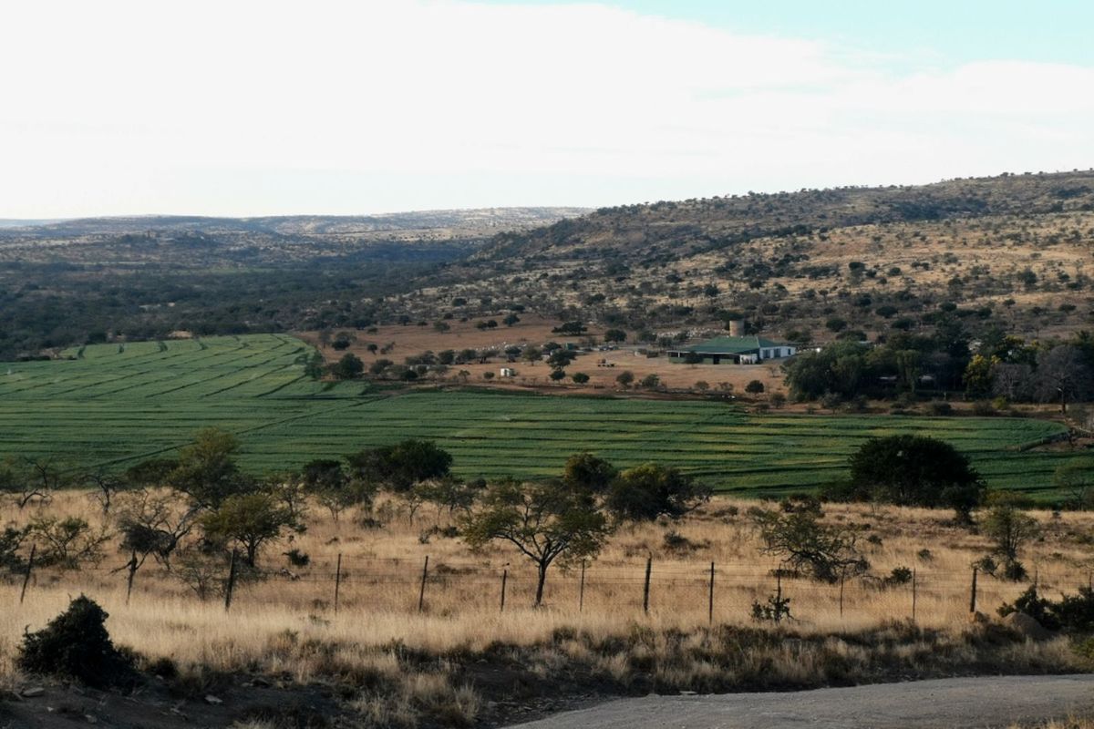 Farm For Sale in Adelaide Central - Photo 2