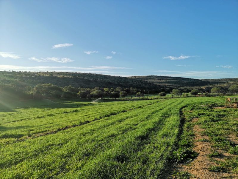 Farm For Sale in Adelaide Central - Photo 3