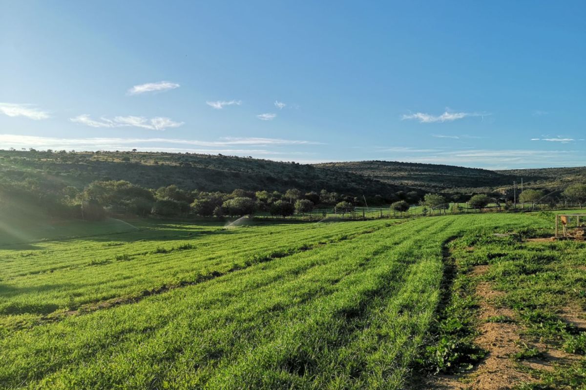 Farm For Sale in Adelaide Central - Photo 3