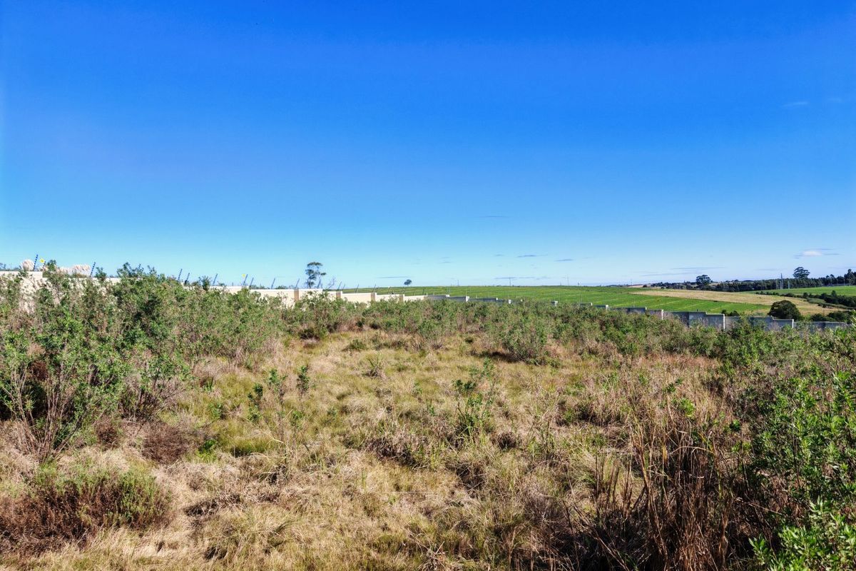 Vacant Land Residential For Sale in Kingswood Golf Estate - Photo 4